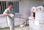 武州八国窯