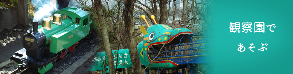 観察園であそぶ