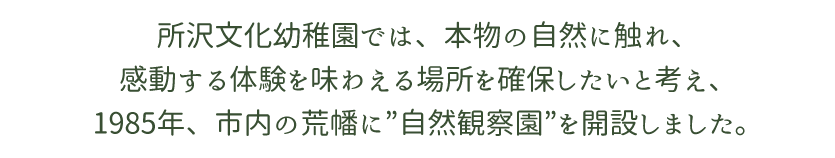 所沢文化幼稚園では、本物の自然に触れ、感動する体験を味わえる場所を確保したいと考え、1985年、市内の荒幡に”自然観察園”を開設しました。