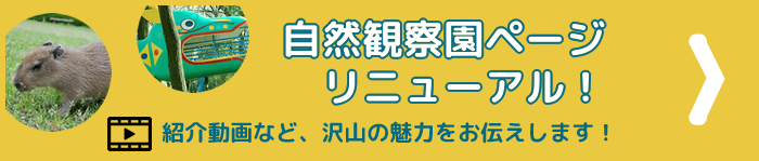 自然観察園